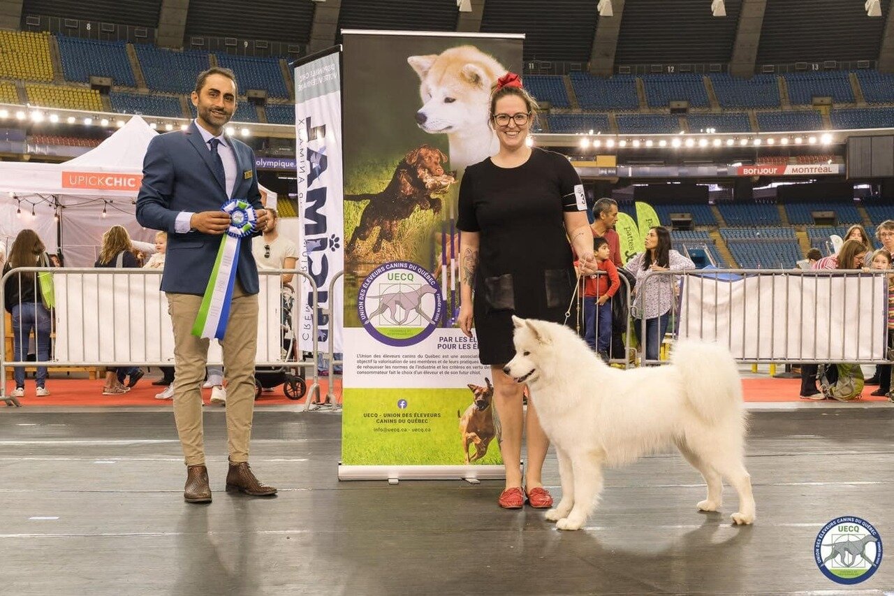 Skye au salon national des animaux de compagnie
