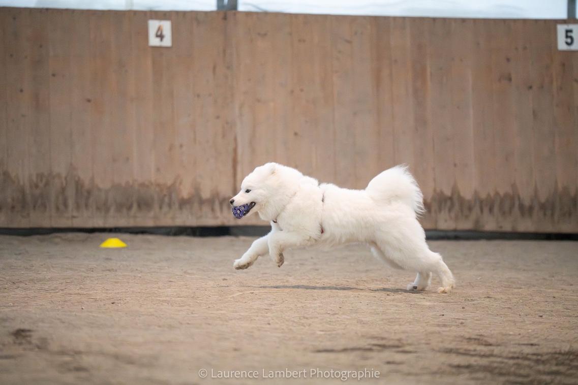 Talgor obtient son RPT
