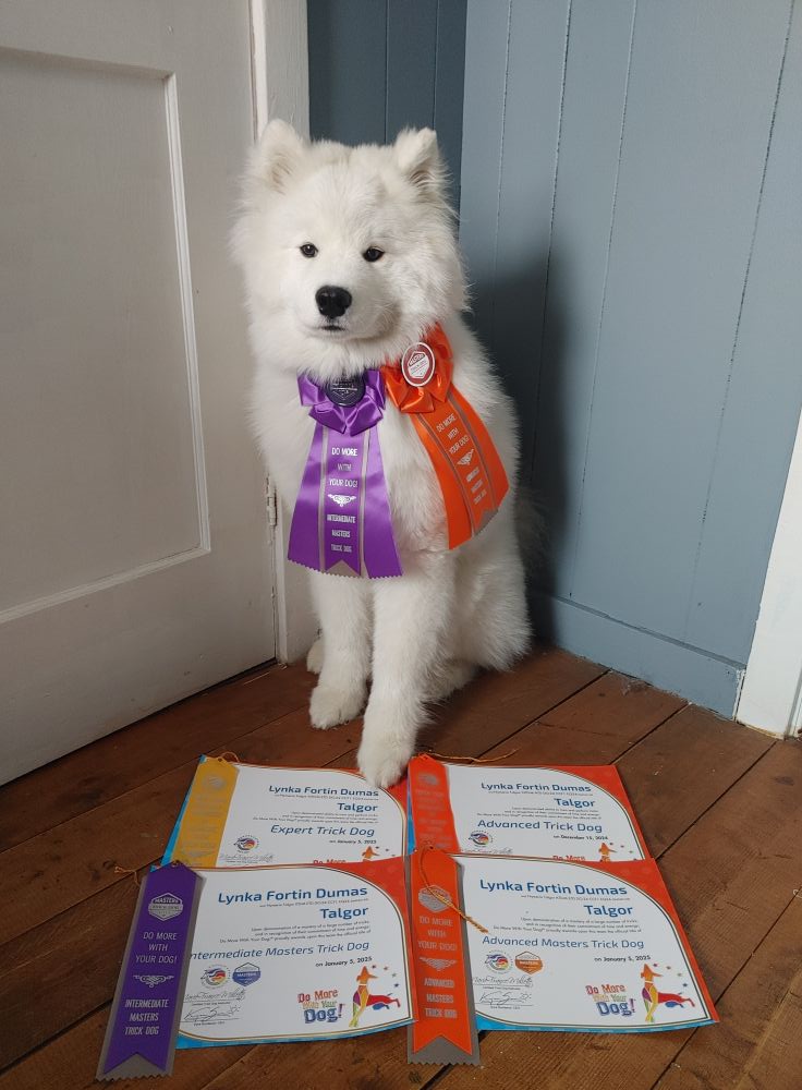 Talgor obtient les titres ETD, ATD, M-ITD et M-ATD